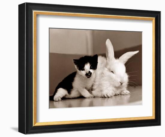 Untitled-null-Framed Photographic Print