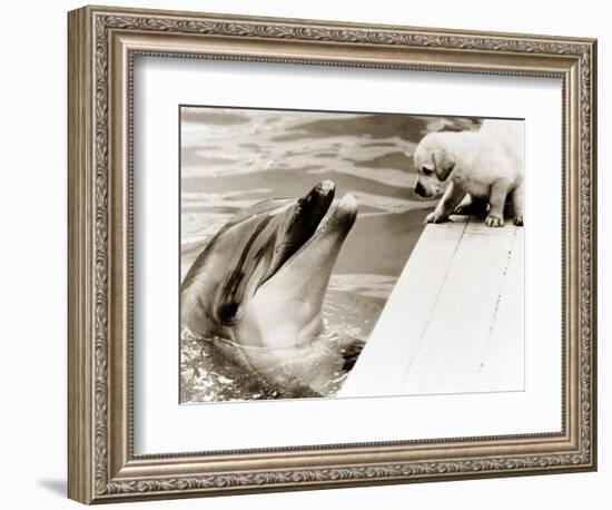 Untitled-null-Framed Photographic Print