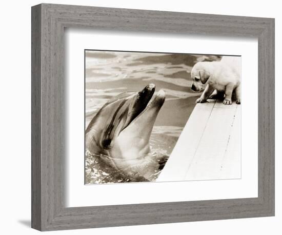 Untitled-null-Framed Photographic Print