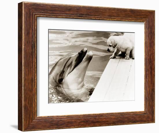 Untitled-null-Framed Photographic Print