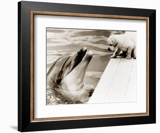 Untitled-null-Framed Photographic Print