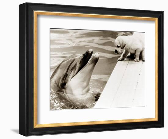 Untitled-null-Framed Photographic Print