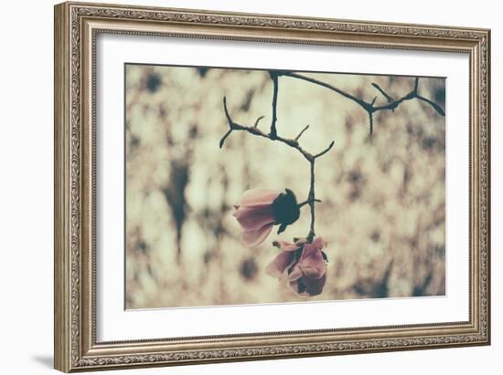 Untitled-Sharon Wish-Framed Photographic Print