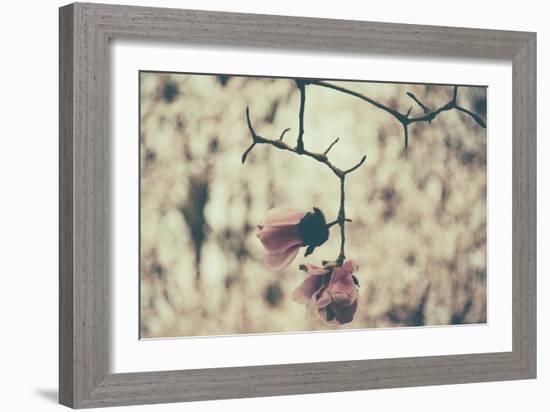 Untitled-Sharon Wish-Framed Photographic Print