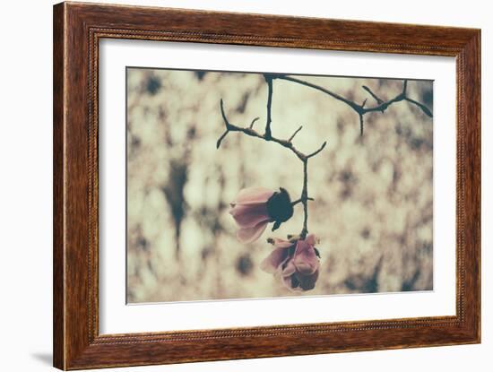 Untitled-Sharon Wish-Framed Photographic Print