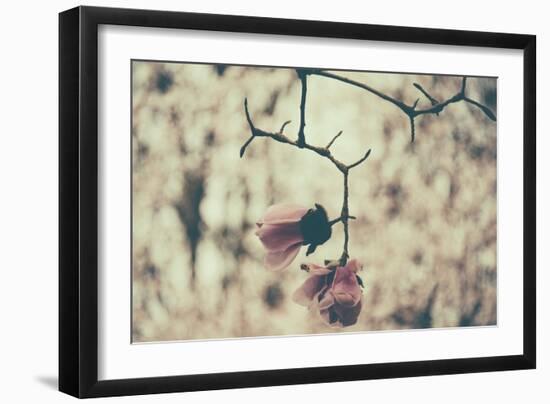 Untitled-Sharon Wish-Framed Photographic Print