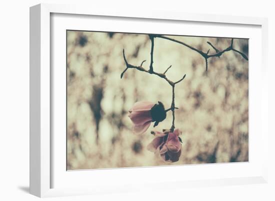 Untitled-Sharon Wish-Framed Photographic Print