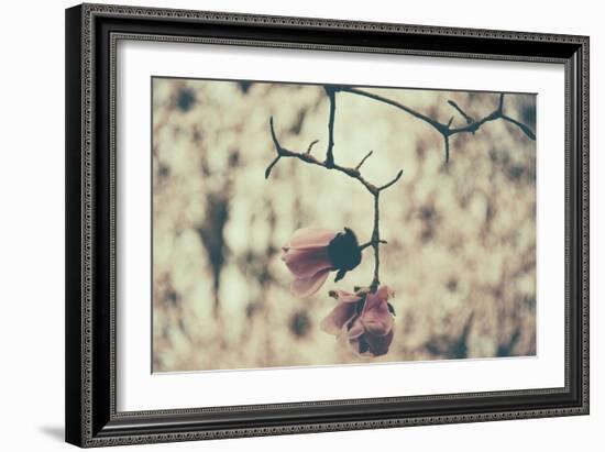 Untitled-Sharon Wish-Framed Photographic Print