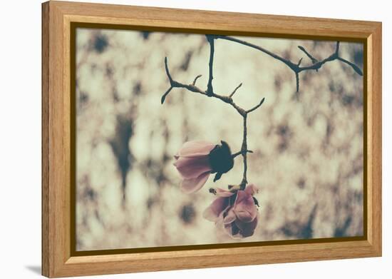 Untitled-Sharon Wish-Framed Premier Image Canvas