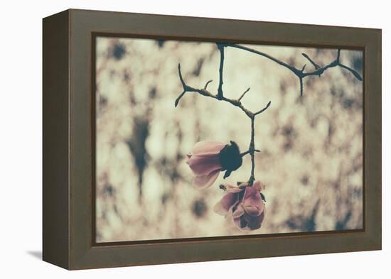 Untitled-Sharon Wish-Framed Premier Image Canvas