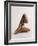 Untitled-Arp Jean-Framed Photographic Print