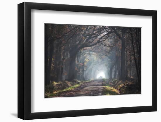 Untitled-Anna Cseresnjes-Framed Photographic Print