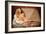 Untitled-Zachar Rise-Framed Photographic Print