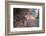 Untitled-Erdal Suat-Framed Photographic Print