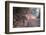 Untitled-Erdal Suat-Framed Photographic Print