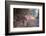 Untitled-Erdal Suat-Framed Photographic Print