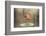 Untitled-Valeriya Tikhonova-Framed Photographic Print