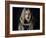 Untitled-Svetlana Melik-Nubarova-Framed Photographic Print