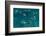 Untitled-Carlo Tonti-Framed Photographic Print