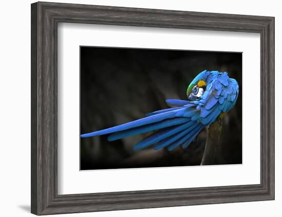 Untitled-Abbas Ali Amir-Framed Photographic Print