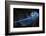 Untitled-Abbas Ali Amir-Framed Photographic Print