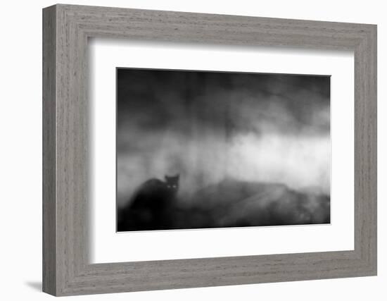 Untitled-Tudor Amot-Framed Photographic Print