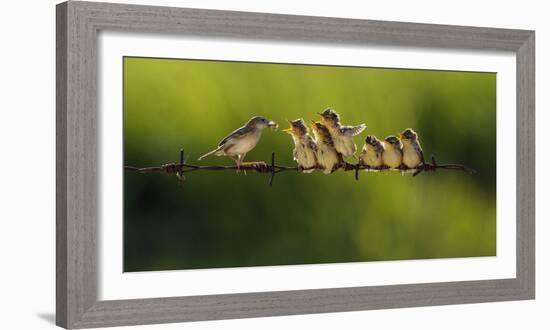 Untitled-Iwan Tirtha-Framed Photographic Print