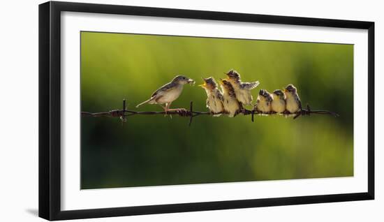 Untitled-Iwan Tirtha-Framed Photographic Print