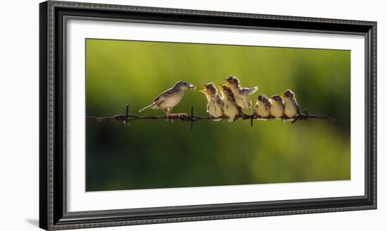 Untitled-Iwan Tirtha-Framed Photographic Print