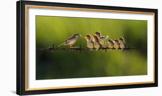 Untitled-Iwan Tirtha-Framed Photographic Print