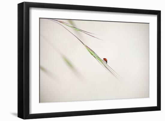 Untitled-Anna Cseresnjes-Framed Photographic Print