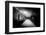 Untitled-Guilherme Pontes-Framed Photographic Print