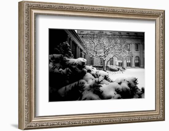 Untitled-Guilherme Pontes-Framed Photographic Print