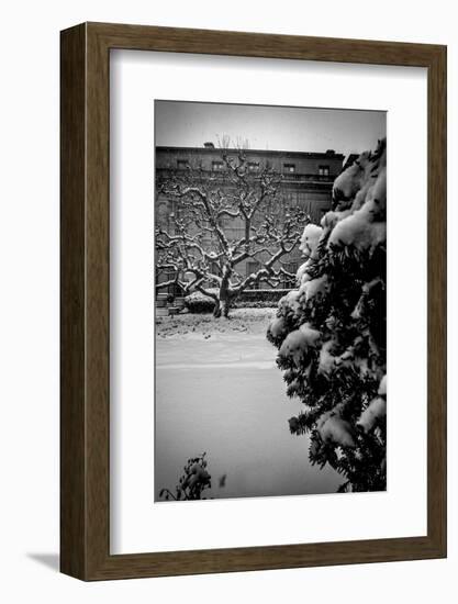 Untitled-Guilherme Pontes-Framed Photographic Print