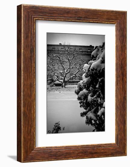 Untitled-Guilherme Pontes-Framed Photographic Print