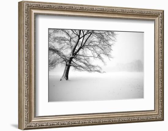 Untitled-Guilherme Pontes-Framed Photographic Print