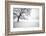 Untitled-Guilherme Pontes-Framed Photographic Print