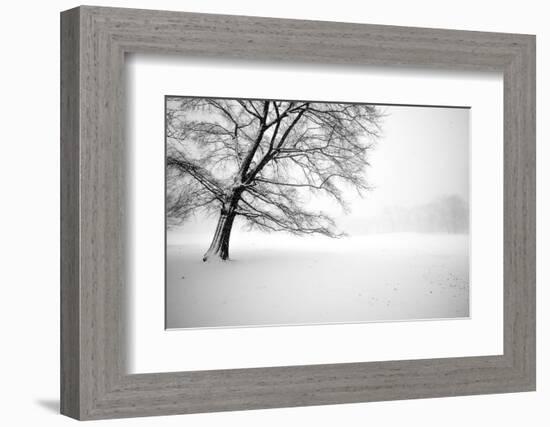 Untitled-Guilherme Pontes-Framed Photographic Print