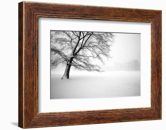 Untitled-Guilherme Pontes-Framed Photographic Print