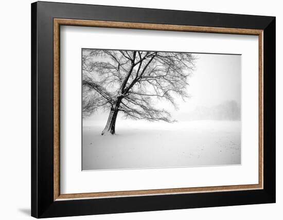 Untitled-Guilherme Pontes-Framed Photographic Print