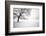 Untitled-Guilherme Pontes-Framed Photographic Print