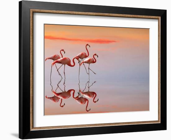 Untitled-Anna Cseresnjes-Framed Photographic Print