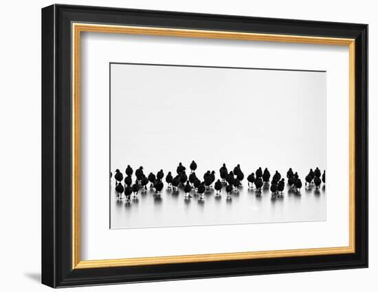 Untitled-Yordan Vasilev-Framed Photographic Print