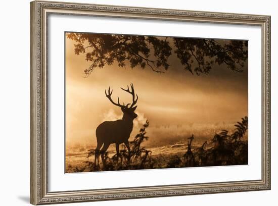 Untitled-Radojica Jevric Fotorax-Framed Photographic Print