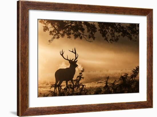 Untitled-Radojica Jevric Fotorax-Framed Photographic Print