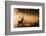 Untitled-Radojica Jevric Fotorax-Framed Photographic Print