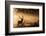 Untitled-Radojica Jevric Fotorax-Framed Photographic Print