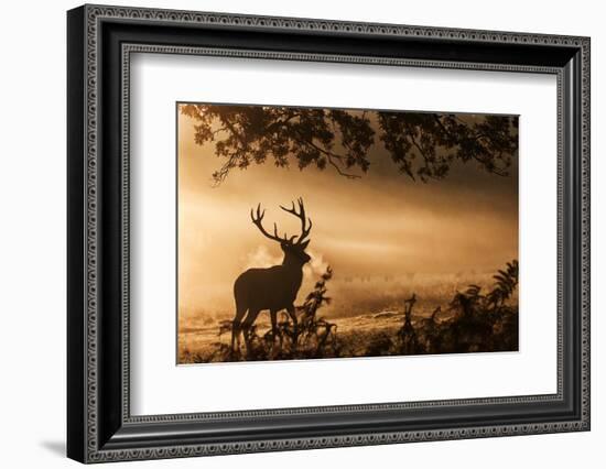 Untitled-Radojica Jevric Fotorax-Framed Photographic Print