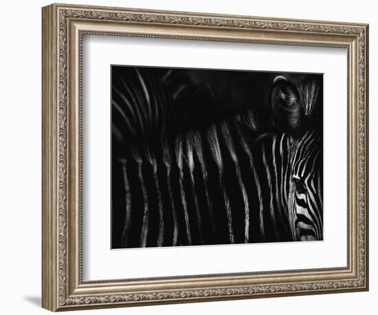 Untitled-Antonio Grambone-Framed Photographic Print