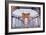 untitled-Alan Blaustein-Framed Photographic Print